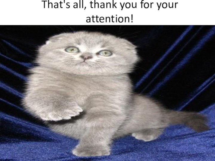 That's all, thank you for your attention!