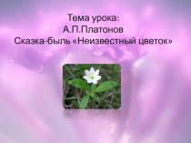 Презентация по литературе на тему Неизвестный цветок А.П. Платонов