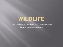 Презентация по английскому языку на тему: Флора и фауна Британии (5класс)
