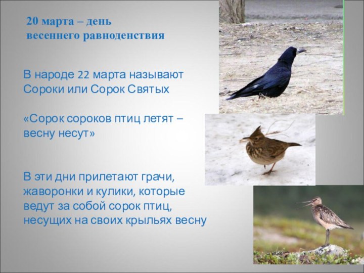 В народе 22 марта называют Сороки или Сорок Святых«Сорок сороков птиц