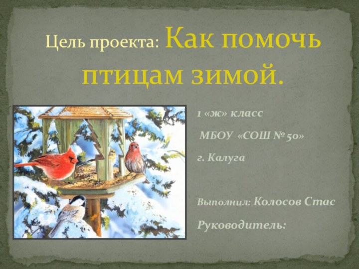 1 «ж» класс МБОУ «СОШ № 50» г. КалугаВыполнил: Колосов СтасРуководитель:Цель проекта: Как помочь птицам зимой.