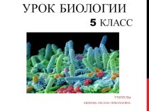 Презентация к уроку биологии по теме Бактерии