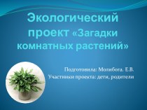 Презентация Экологический проект Загадки комнатных растений