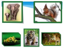 Презентация к уроку окружающего мира: Как живут животные, 1 класс