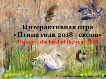 Интегрированный урок (английский, биология) Обобщение знаний по классу птиц Скопа – птица 2018 в России.