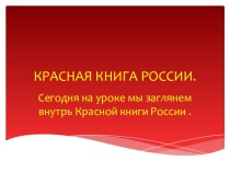 Презентация по окружающему миру на тему Красная книга России (4класс)