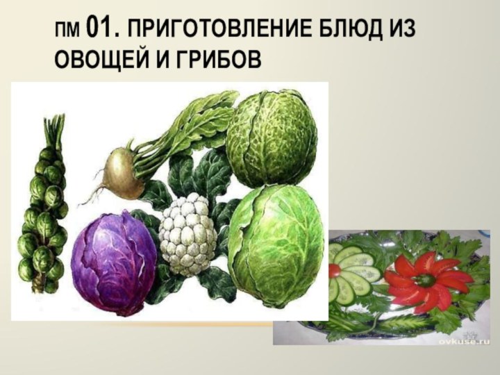 ПМ 01. Приготовление блюд из овощей и грибов