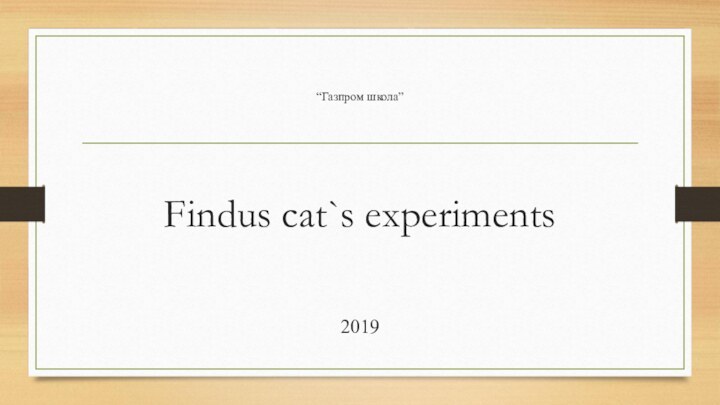 “Газпром школа”Findus cat`s experiments