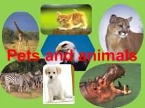Презентация к уроку по теме Животные в нашей жизни