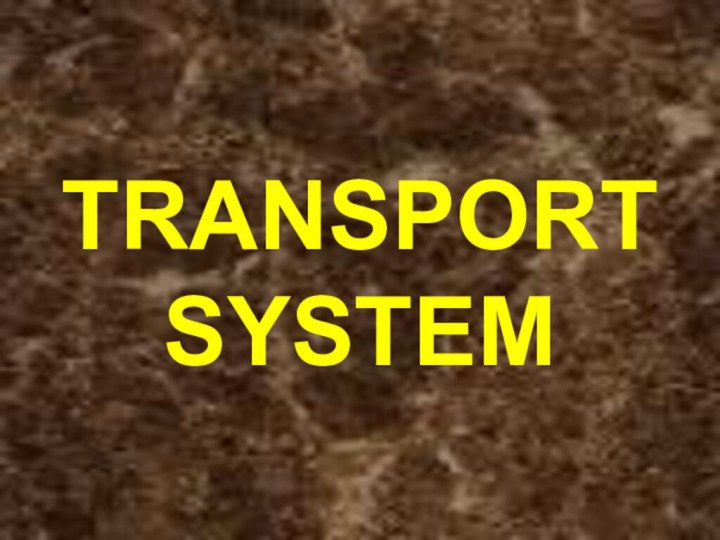 TRANSPORT SYSTEM