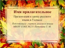 Презентация по русскому языку на тему Имя прилагательное  (5 класс)