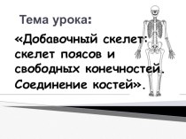 Презентация по биологии на тему:Добавочный скелет: скелет поясов и свободных конечностей. Соединение костей.