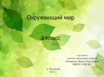 Презентация Красная книга России по окружающему миру в 3 классе