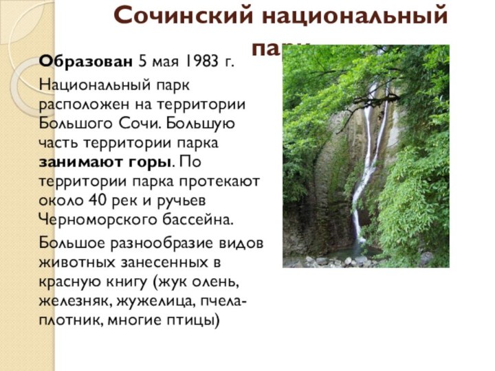 Сочинский национальный парк Образован 5 мая 1983 г.Национальный парк расположен на территории