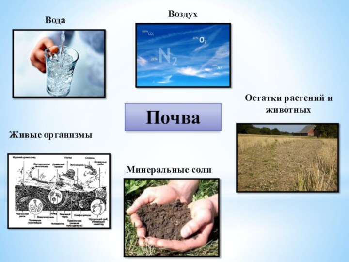 ПочваВодаВоздухЖивые организмыМинеральные солиОстатки растений и животных