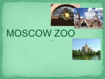Презентация Moscow Zoo 6 класс Spotlight
