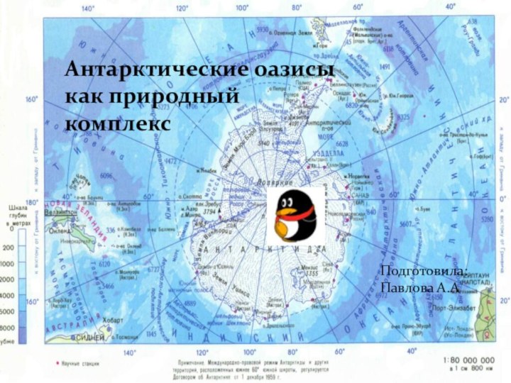 Антарктические оазисы как природный комплексПодготовила: Павлова А.А