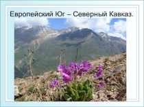 Презентация по географии на тему Хозяйство Северного Кавказа