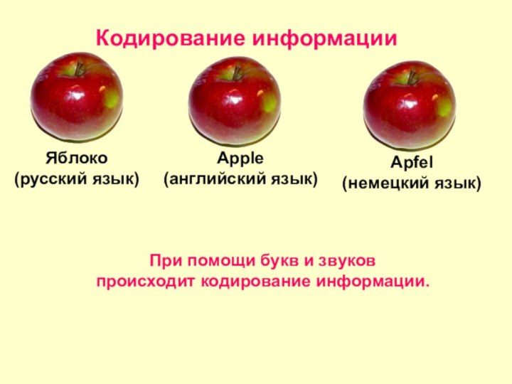 Кодирование информацииЯблоко(русский язык)Apple (английский язык)Apfel (немецкий язык)При помощи букв и звуков происходит кодирование информации.