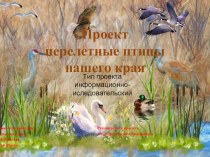 Проект: Перелетные птицы Колпашевского района