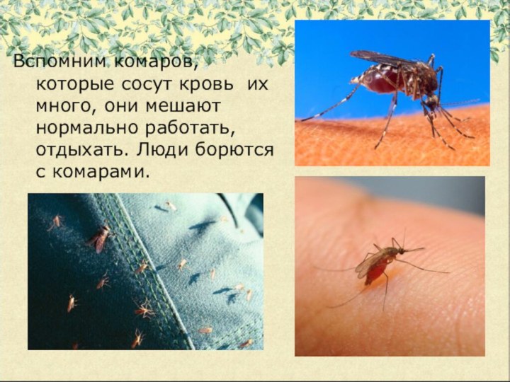 Вспомним комаров, которые сосут кровь их много, они мешают нормально работать,