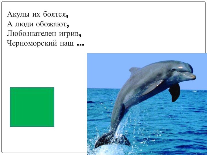 Акулы их боятся,А люди обожают,Любознателен игрив,Черноморский наш …