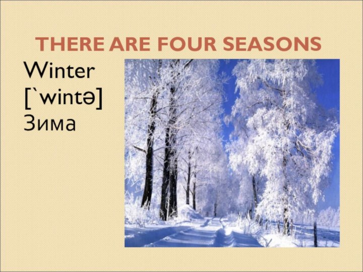 THERE ARE FOUR SEASONSWinter [`wintə]Зима