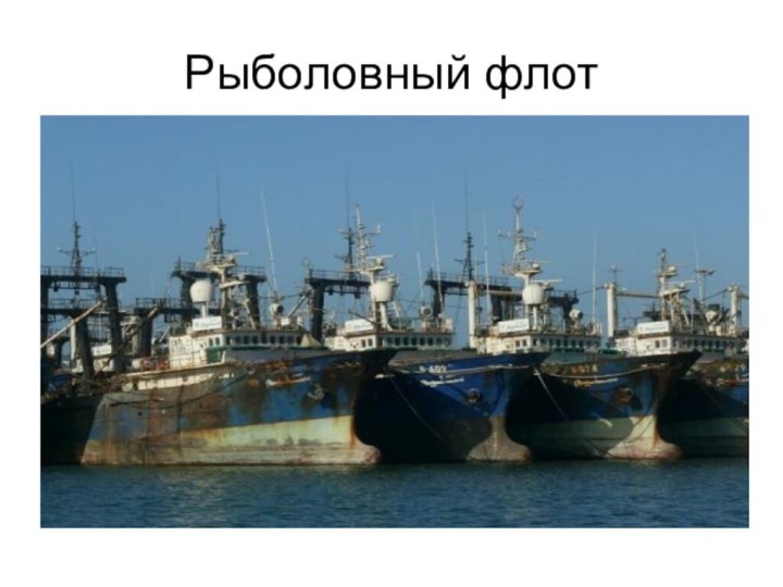 Рыболовный флот