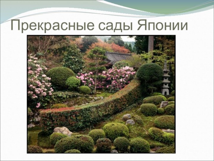 Прекрасные сады Японии