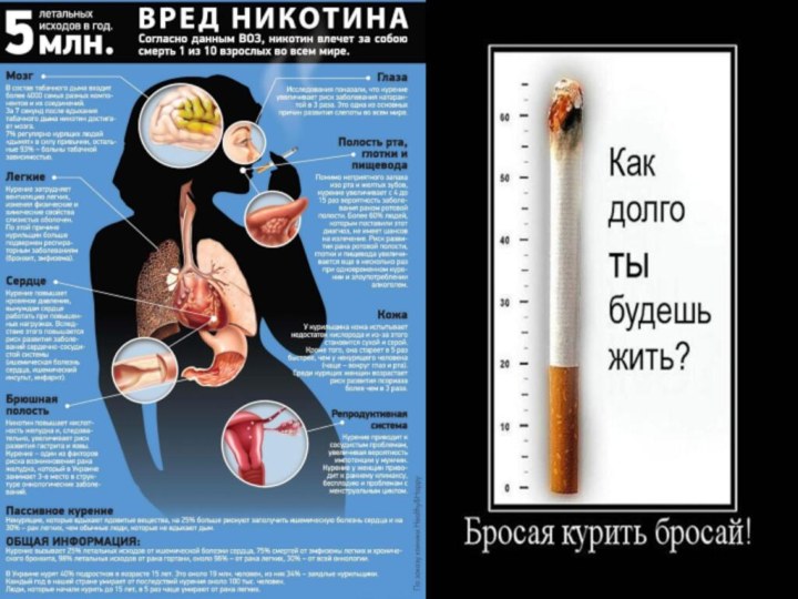 Реферат Вред Курения При Беременности