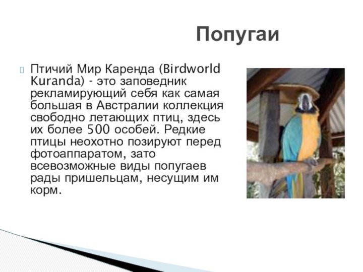 Птичий Мир Каренда (Birdworld Kuranda) - это заповедник рекламирующий себя как самая