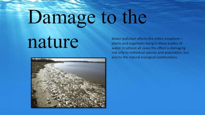 Water pollution affects the entire biosphere – plants and organisms living in these bodies