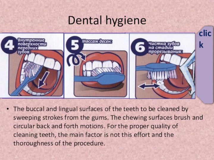 Dental hygieneThe buccal and lingual surfaces of the teeth to be cleaned
