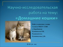 Исследовательская работа по теме: Домашние кошки
