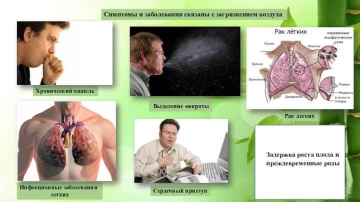 Симптомы и заболевания связаны с загрязнением воздухаХронический кашель Выделение мокротыРак легкихИнфекционные