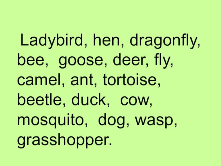 Ladybird, hen, dragonfly, bee, goose, deer, fly, camel, ant, tortoise,
