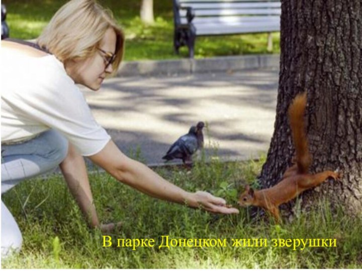 В парке Донецком жили зверушки.