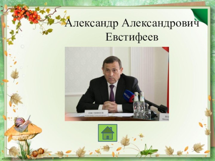 Александр Александрович Евстифеев