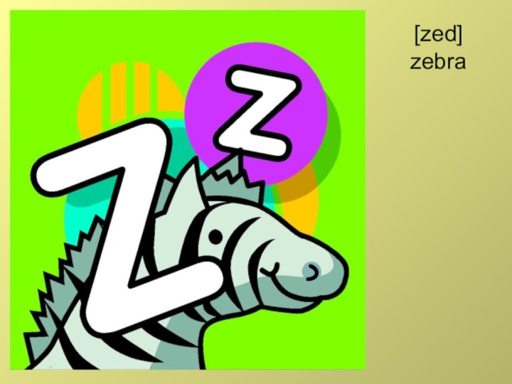 [zed] zebra