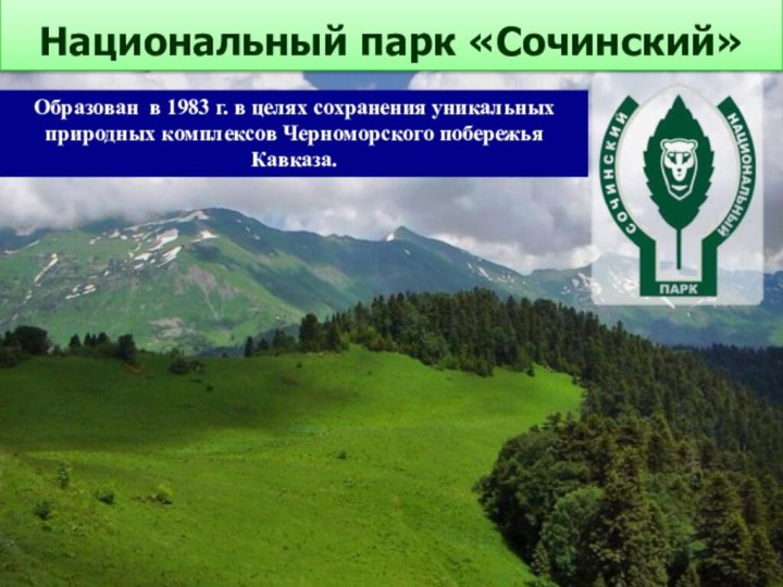 Национальный парк «Сочинский»Образован в 1983 г. в целях сохранения уникальных природных комплексов Черноморского побережья Кавказа.
