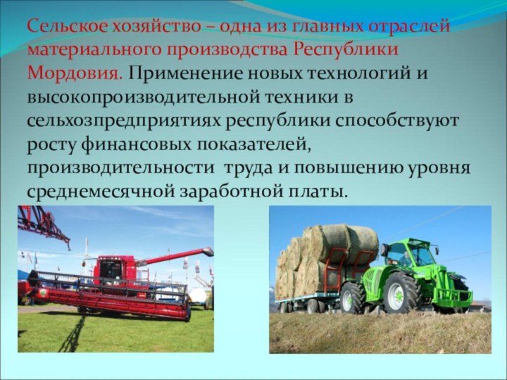 Сельское хозяйство – одна из главных отраслей материального производства Республики Мордовия.