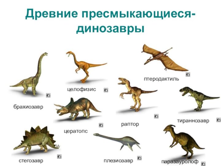 Древние пресмыкающиеся-динозаврыбрахиозаврстегозаврцератопсрапторплезиозаврптеродактильпаразауролофцелофизистираннозавр