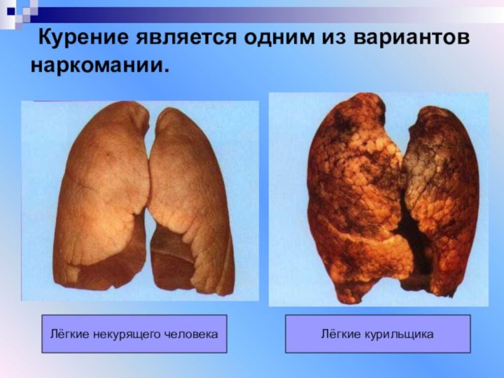 Лёгкие некурящего человекаЛёгкие курильщика  Курение является одним из вариантов наркомании.