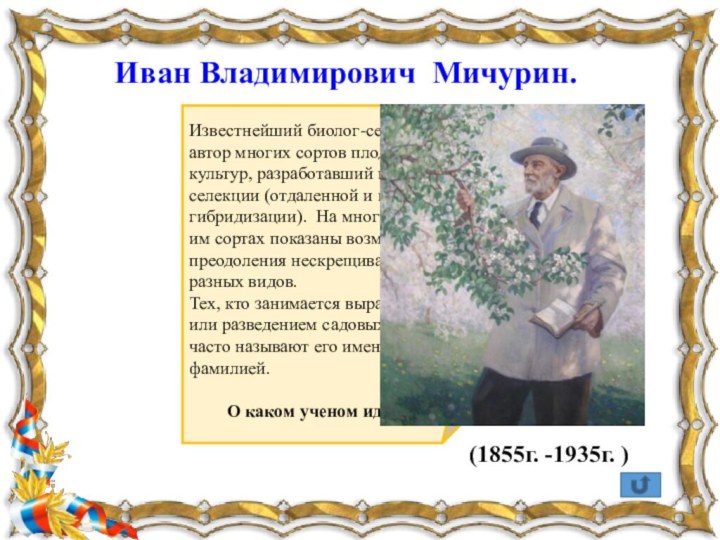 Иван Владимирович  Мичурин.  (1855г. -1935г. )  Известнейший биолог-селекционер, автор многих сортов