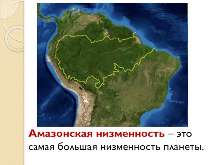 Амазонская низменность – это самая большая низменность планеты.