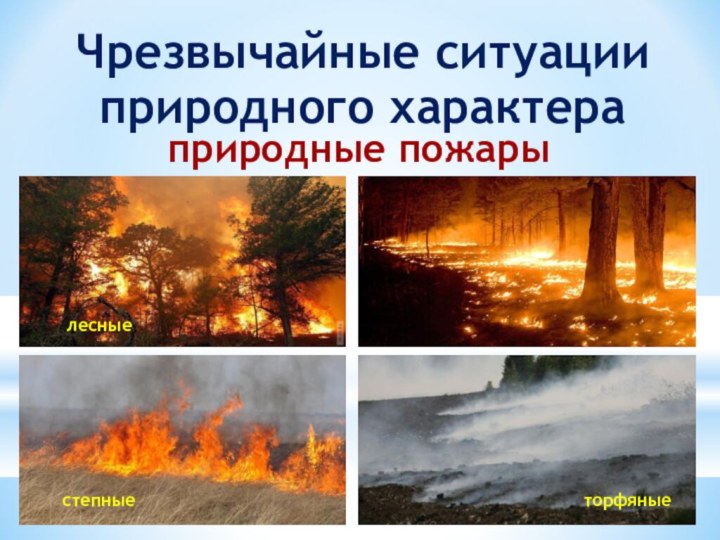 Чрезвычайные ситуации природного характераприродные пожарылесныестепныеторфяные