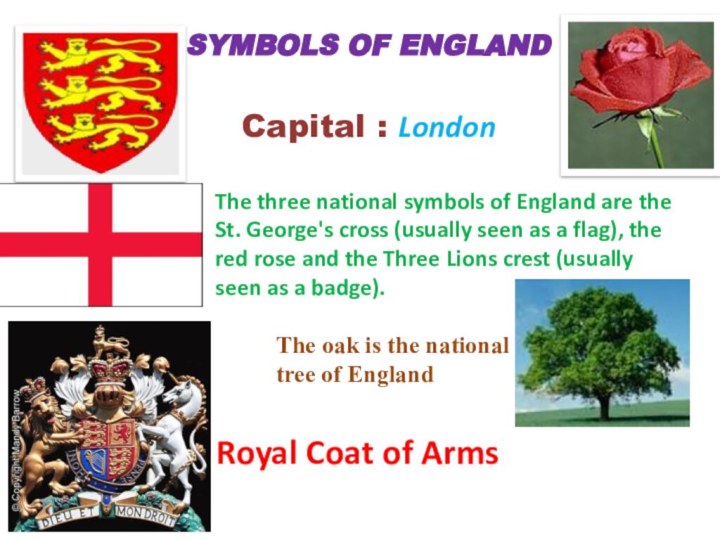 The three national symbols of England are the St. George's cross (usually