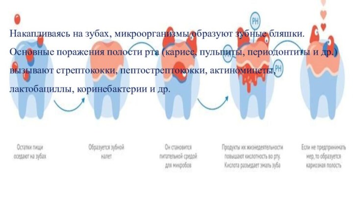Накапливаясь на зубах, микроорганизмы образуют зубные бляшки. Основные поражения полости рта (кариес,