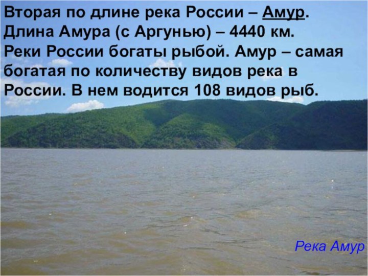 Вторая по длине река России – Амур. Длина Амура (с Аргунью)