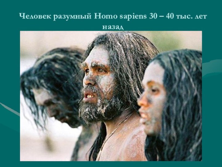 Человек разумный Homo sapiens 30 – 40 тыс. лет назад